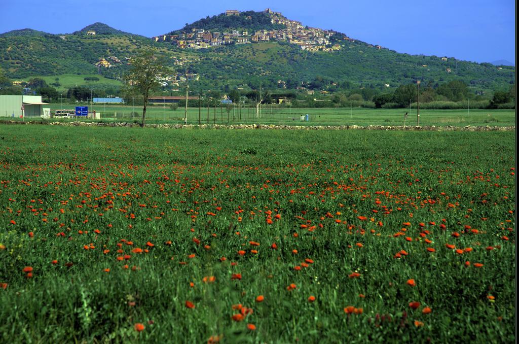 Апартаменты Agri Domus Guidonia Montecelio Экстерьер фото